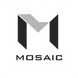 Mosaic Human Capital Innovations
